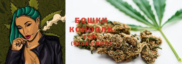 стаф Арсеньев