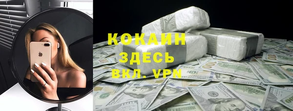 стаф Арсеньев