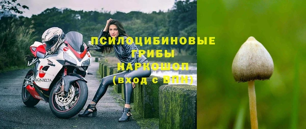 герыч Алзамай