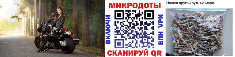 Псилоцибиновые грибы MAGIC MUSHROOMS  Артёмовский 
